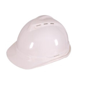 Safety Helmet Worxwell DT-T010