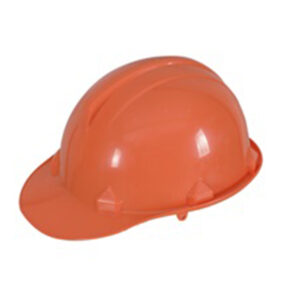 Safety Helmet Worxwell DT-T017